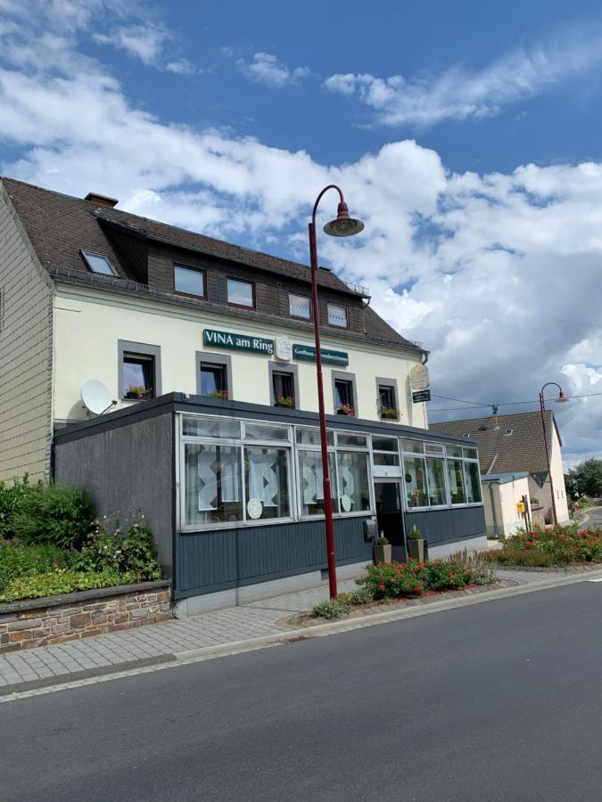Bed and Breakfast Vina Am Ring Mannebach  Екстер'єр фото