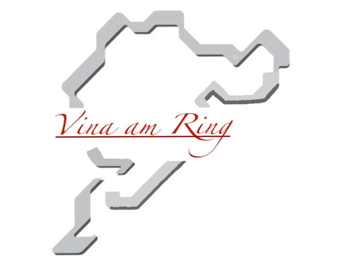 Bed and Breakfast Vina Am Ring Mannebach  Екстер'єр фото
